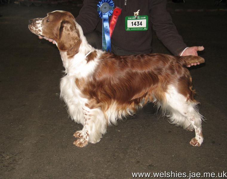 2009-11-14 05.jpg - Sh Ch Arkview Chicago At Llawkrik